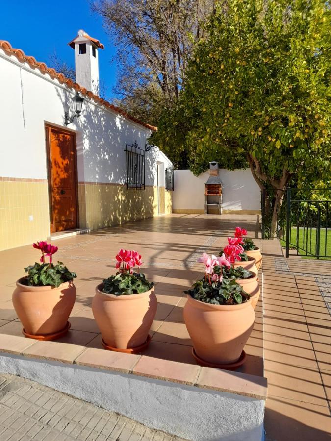 Alojamientos Rurales Villora Murcia Esterno foto